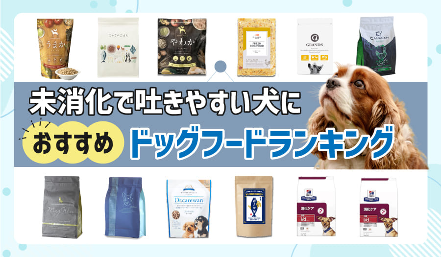 未消化で吐きやすい犬におすすめのドッグフードランキング