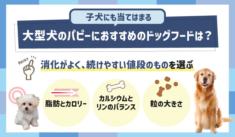 大型犬のパピーにおすすめのドッグフードは?