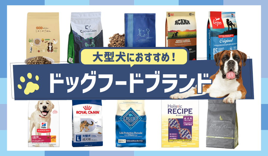 大型犬におすすめ!ドッグフードブランド10選