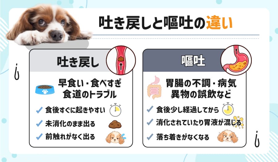 吐き戻しと嘔吐の違い
