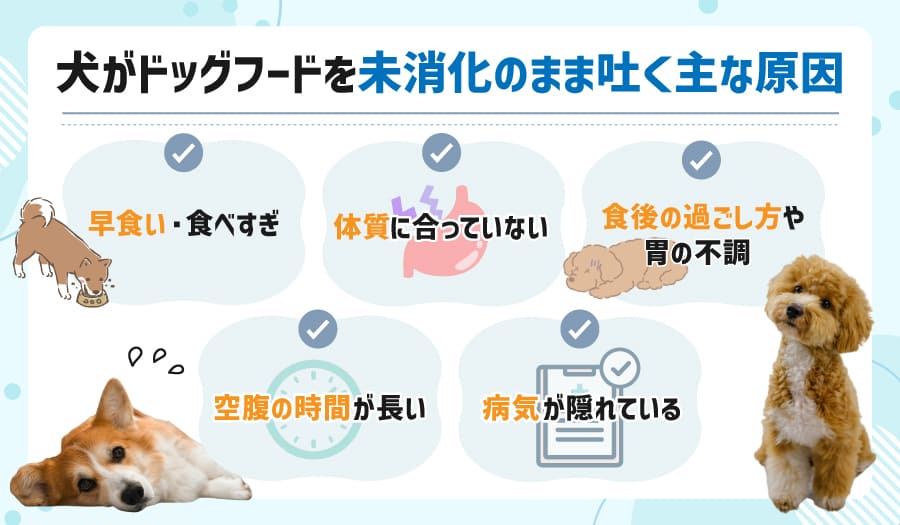 犬がドッグフードを未消化のまま吐く主な原因
