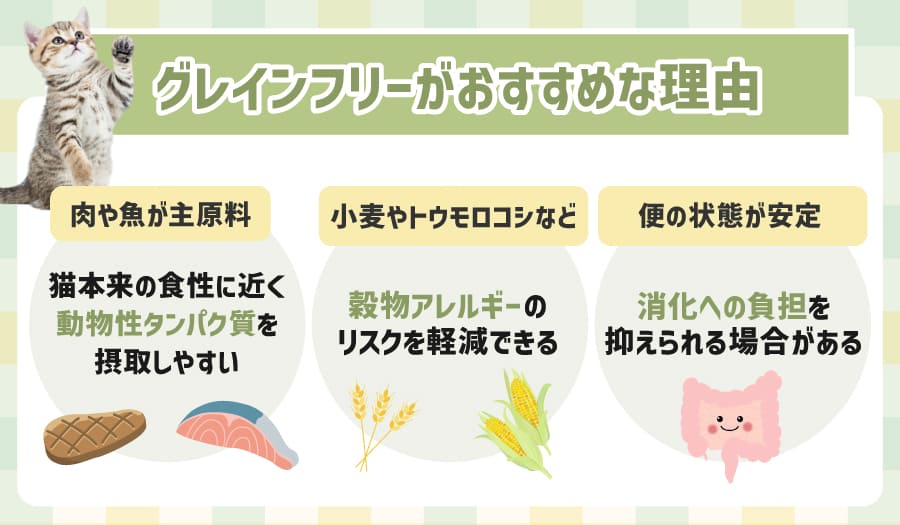 キャットフードでグレインフリーがおすすめな理由