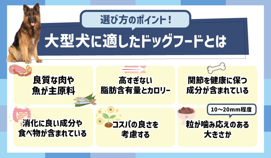 選び方のポイント!大型犬に適したドッグフードとは