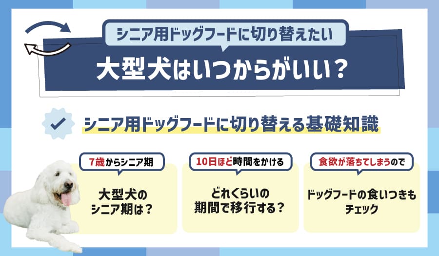 シニア用ドッグフードに切り替えたい!大型犬はいつからがいい?