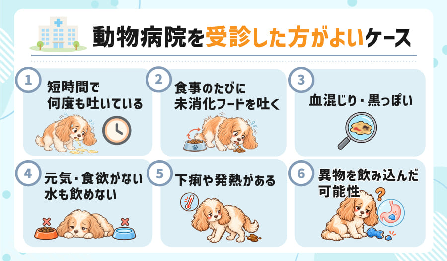 動物病院を受診した方がよいケース