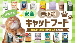 おすすめの安全な無添加キャットフード｜避けたい添加物や選び方も解説