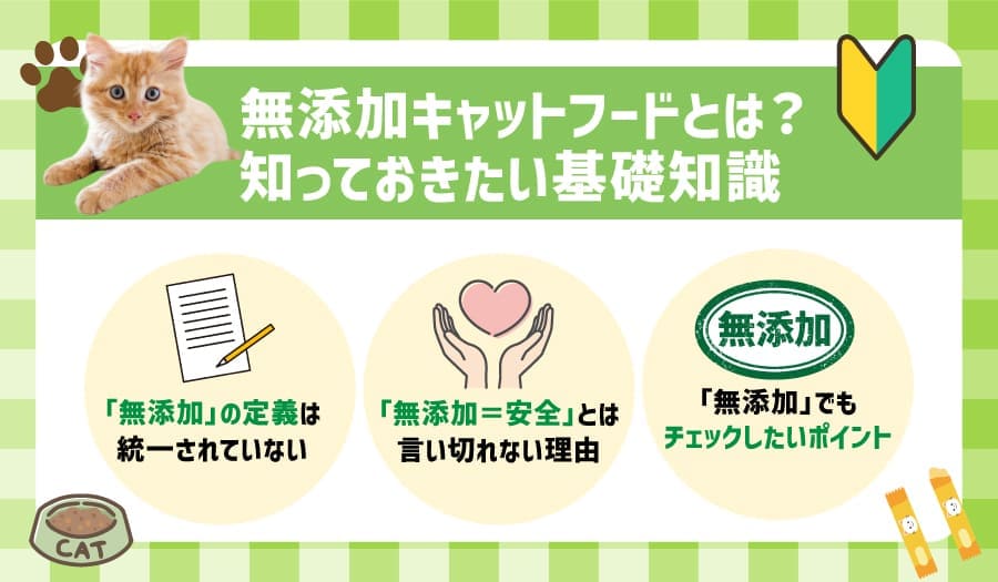無添加キャットフードとは？知っておきたい基礎知識