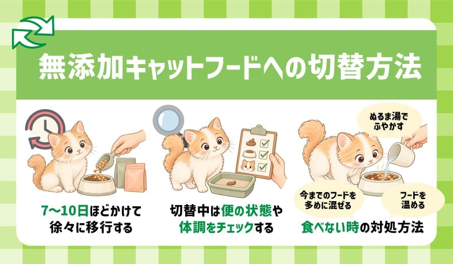 無添加キャットフードへの切替方法