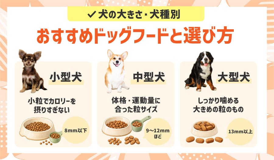 犬の大きさ・犬種別おすすめドッグフードと選び方