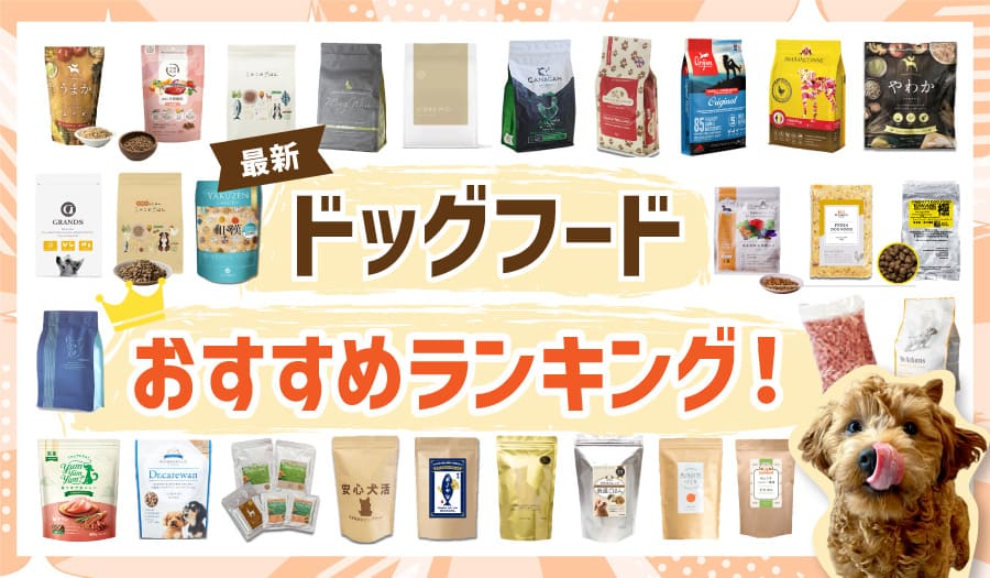 最新ドッグフードおすすめランキング