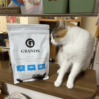 グランツのパッケージと猫