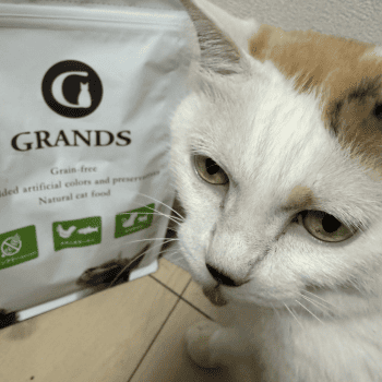 グランツのパッケージと猫